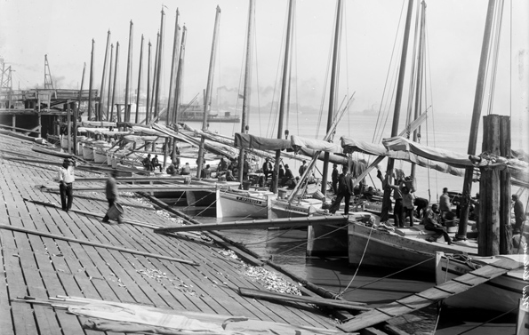 Oyster Luggers docking at Lugger Landing (ca. 1900). Courtesy of the Library of Congress