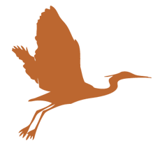 Flying-Egret