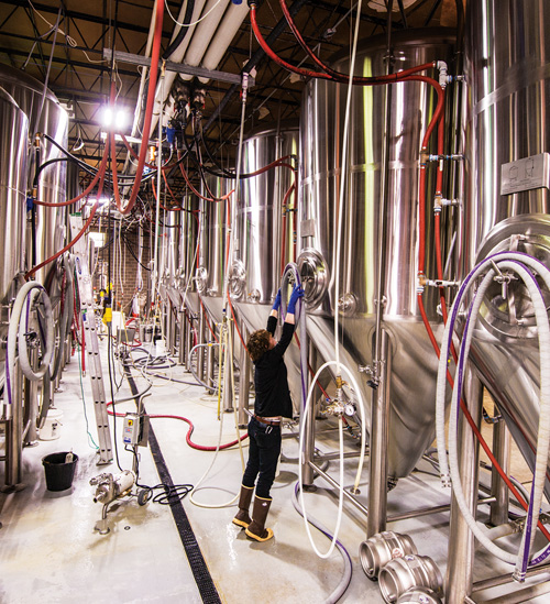 A brewery attendant works between two rows of fermenters.