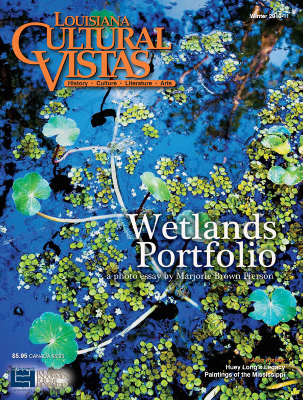 Cover for Winter 2010