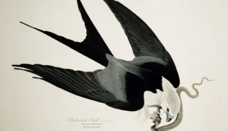 John James Audubon