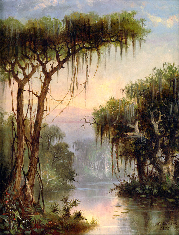 Morning Light on a Swamp Bayou