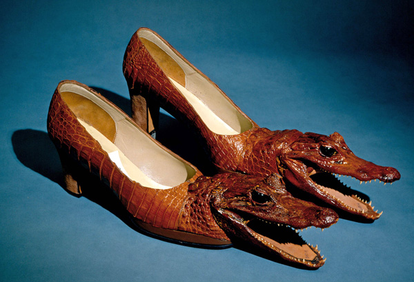 Alligator Shoes (Thom McCann Eat Your Heart Out)