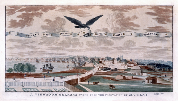A view of New Orleans taken from the plantation of Marigny