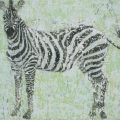 Zebra#3