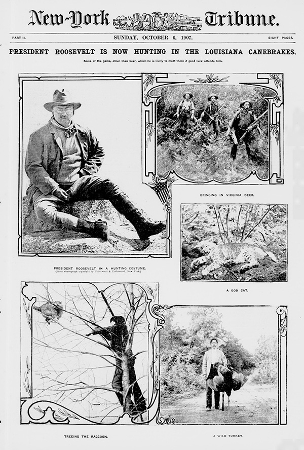 President Roosevelt Hunting In Louisiana