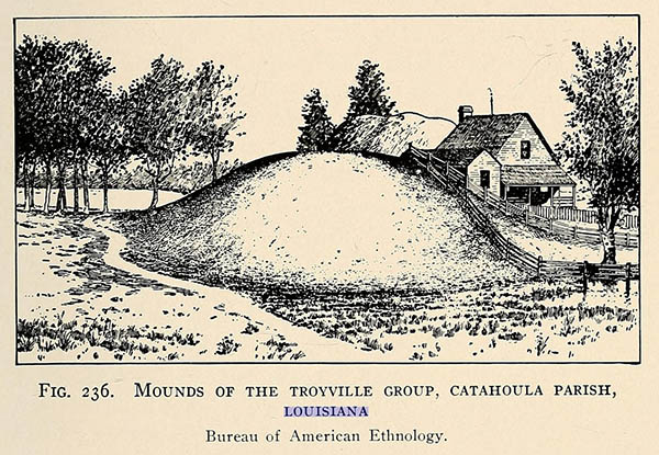 Mounds of the Troyville Group