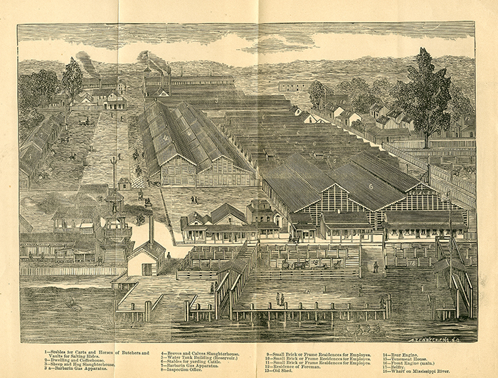 View of Slaughterhouses along the Mississippi River in New Orleans