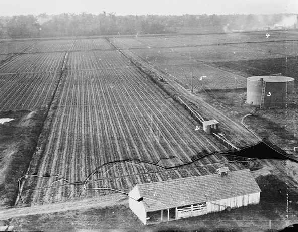 Laurel Valley Plantation