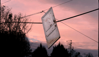 Perennial Heartbreak and Renewal