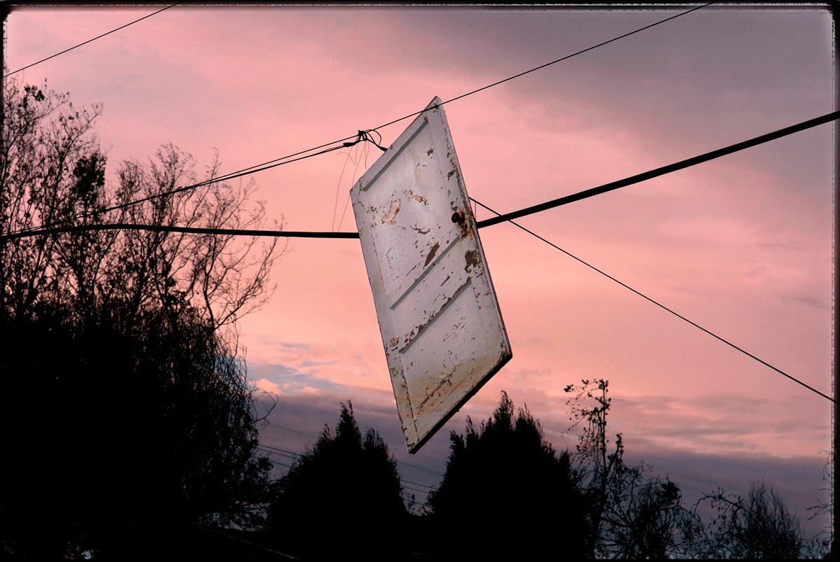 Perennial Heartbreak and Renewal