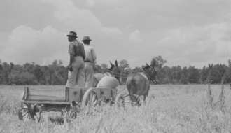A New Beginning on the Land