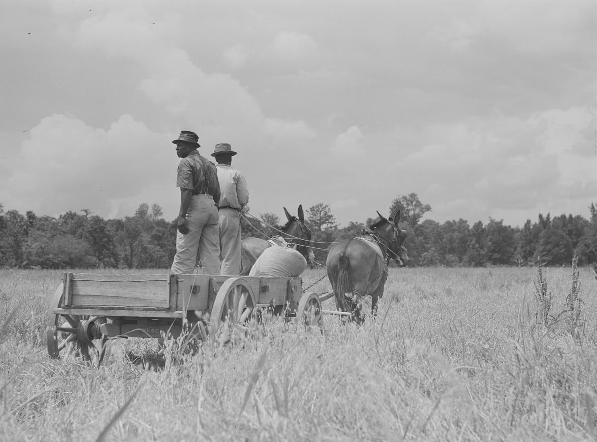 A New Beginning on the Land