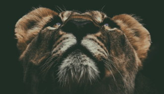 Poetry by Maurice Carlos Ruffin