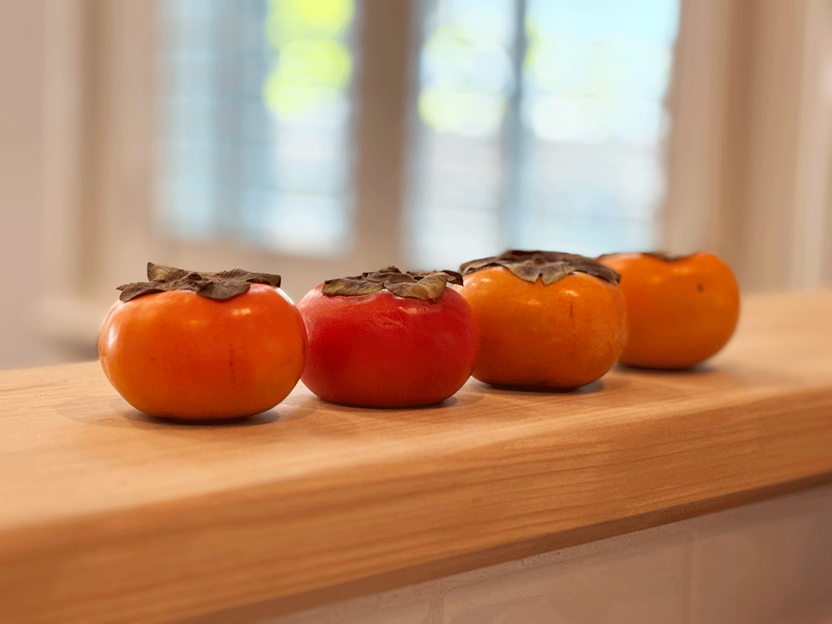 In Pursuit of Persimmons