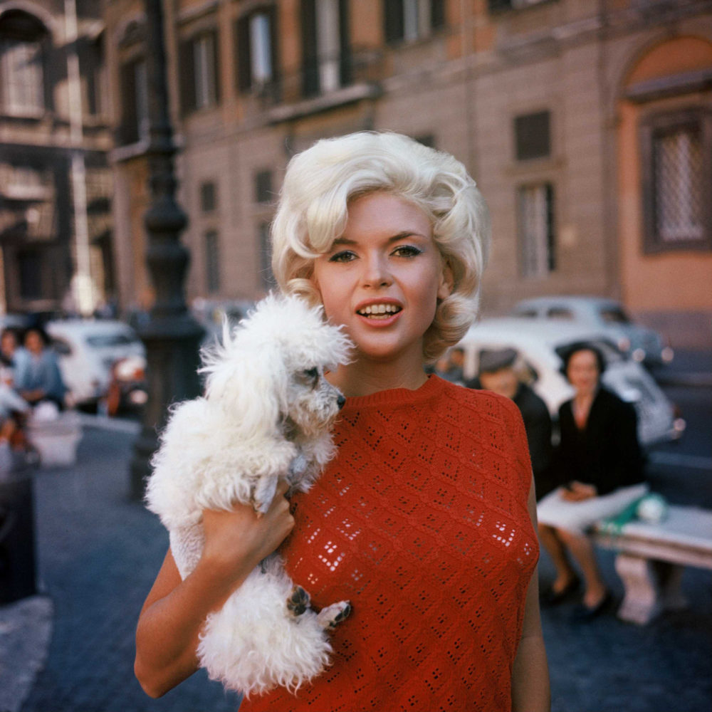 jayne mansfield