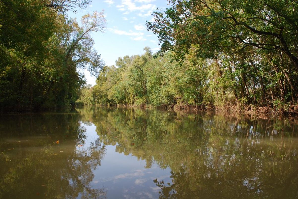 The Teche Near Port Barre